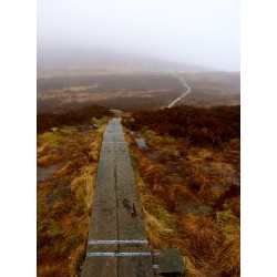 Irlande Wicklow - Chemin...