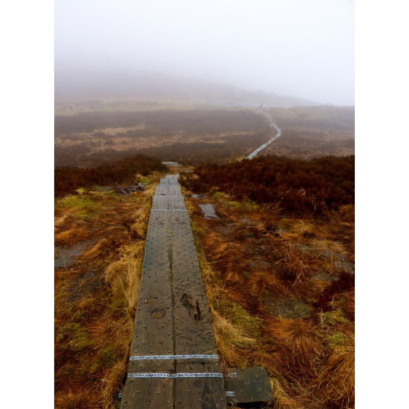 Irlande Wicklow - Chemin d'automne