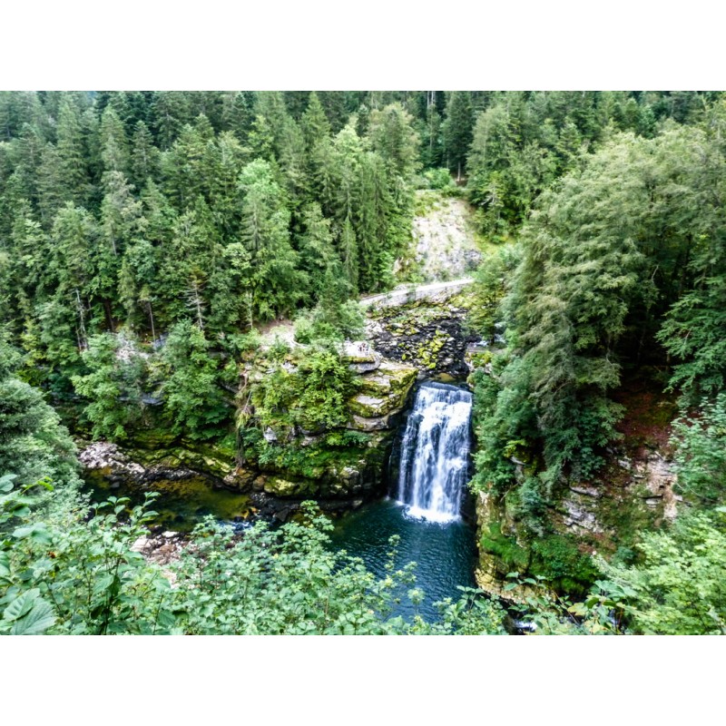 Forêt - Le saut du Doubs