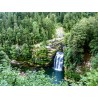 Forêt - Le saut du Doubs