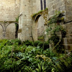 Historia Léhon -  Nature au...