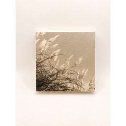 copy of Péridot 3D