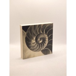 copy of Péridot 3D