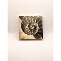 copy of Péridot 3D