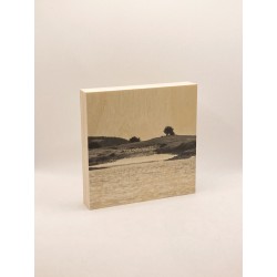 copy of Péridot 3D