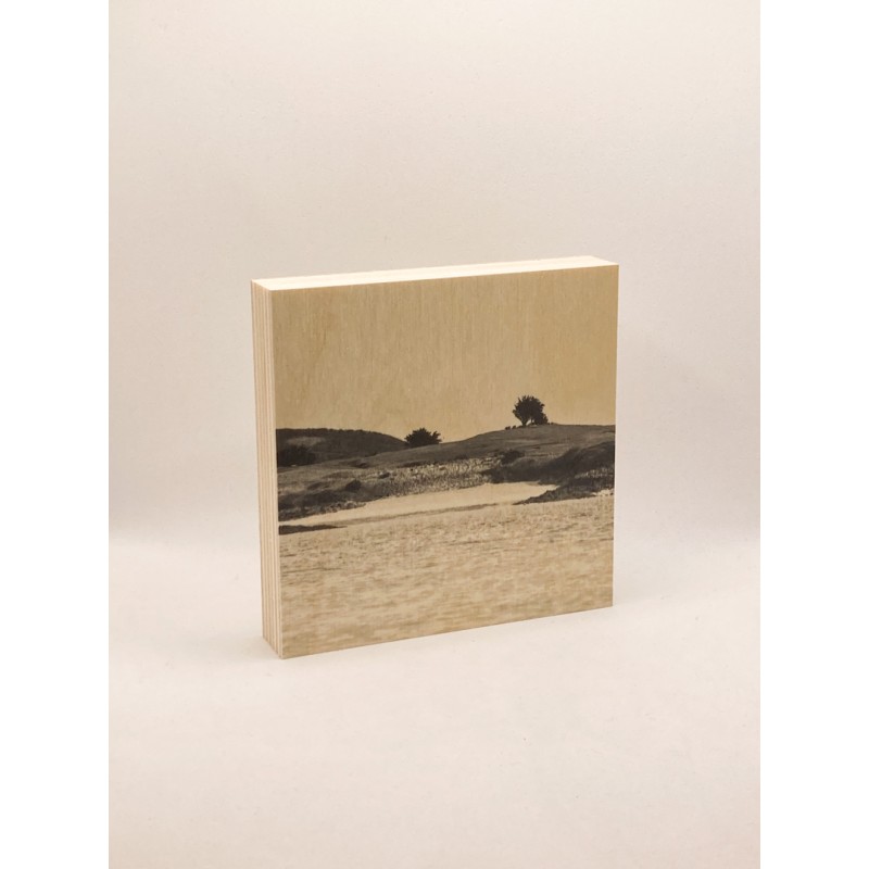 copy of Péridot 3D