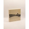 copy of Péridot 3D