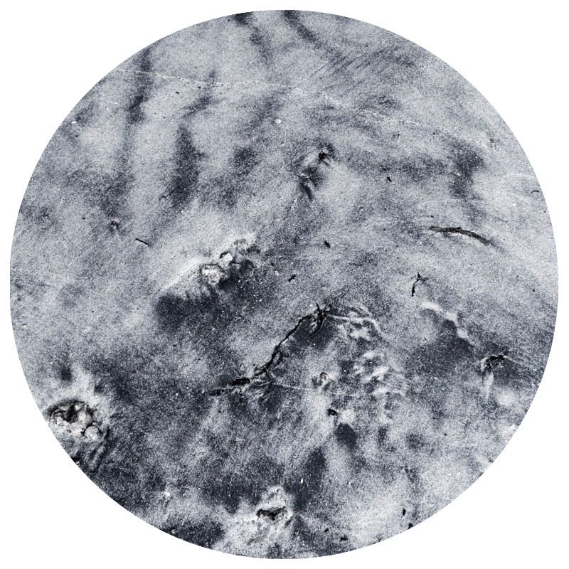 copy of Lune