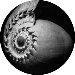 copy of Spirale